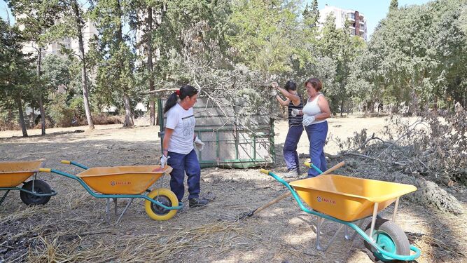 Un grupo de trabajadoras realizan tareas de mantenimiento del parque.