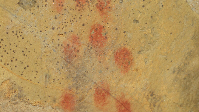 Signos rojos realizados con las yemas de los dedos en la cueva de Ardales.