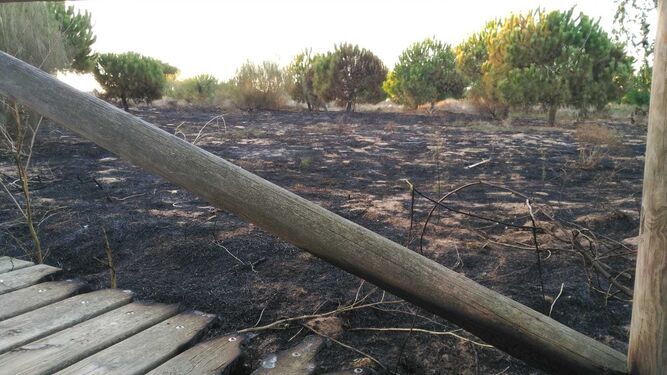 El incendio ha afectado a la zona verde y la pasarela de acceso a la playa de La Jara.