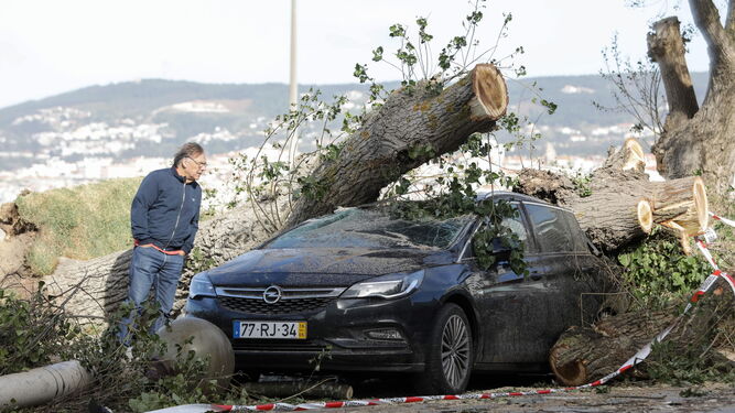 Un hombre observa un coche destrozado por un árbol en el centro de Portugal.