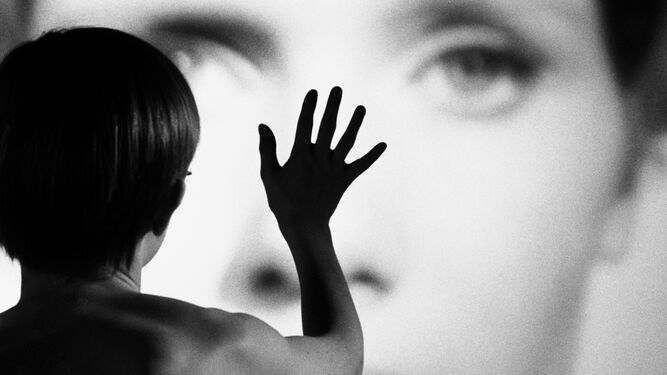 Persona (1966, Ingmar Bergman).