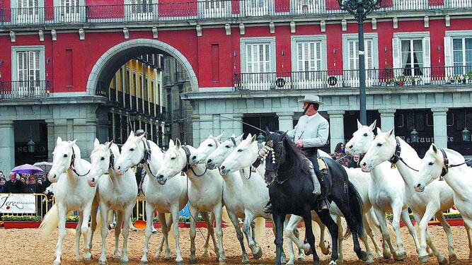 Espectáculo ecuestre celebrado en la Plaza Mayor de Madrid con motivo de Fitur 2004.