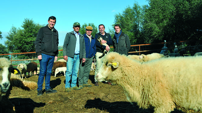 Jose Miguel Pino, Cristóbal Yuste, Rodrigo Mangana, Pedro Gallardo y Luis Ramírez entre ovejas merinas.