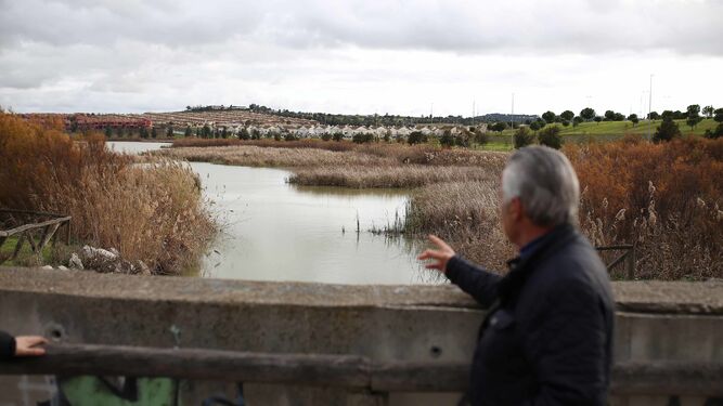 El presidente de la asociación vecinal muestra la vegetación que ha crecido en el interior de la laguna.