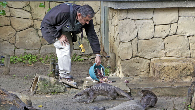 Reportaje de las Nutrias en el Zoo de Jerez