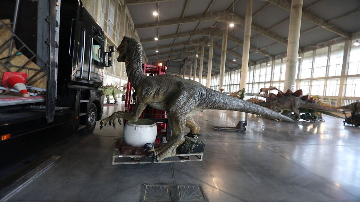 Video: Cuenta atrás para la exposición de dinosaurios este fin de semana en  Ifeca