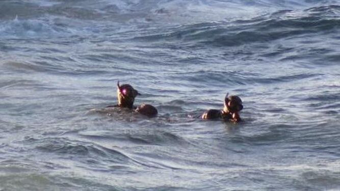 El rescate de un migrante en la costa de Ceuta.
