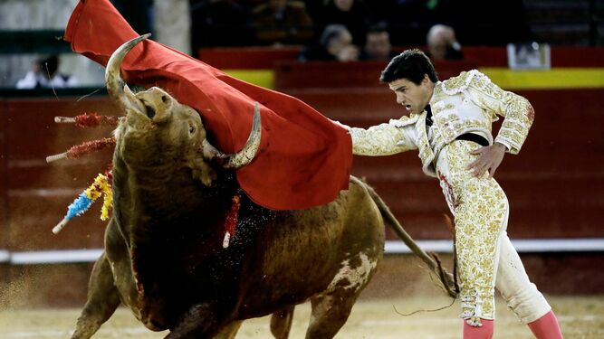 El matador de toros sevillano Pablo Aguado, en un pase de pecho, único diestro que cortó una oreja.