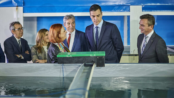 Sánchez ha visitado los laboratorios de CEI-Mar en Puerto Real.
