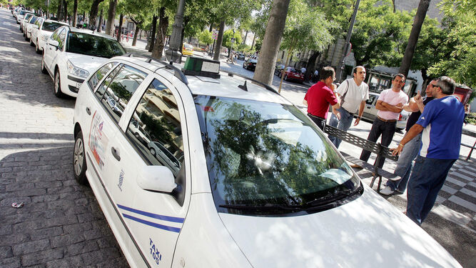 Taxistas esperan en la Alameda Cristina.