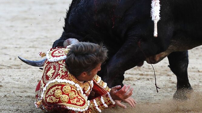 Manuel Escribano sufre una cogida en su segundo toro.