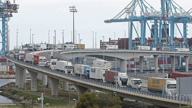 Camiones en el acceso al puerto de Algeciras