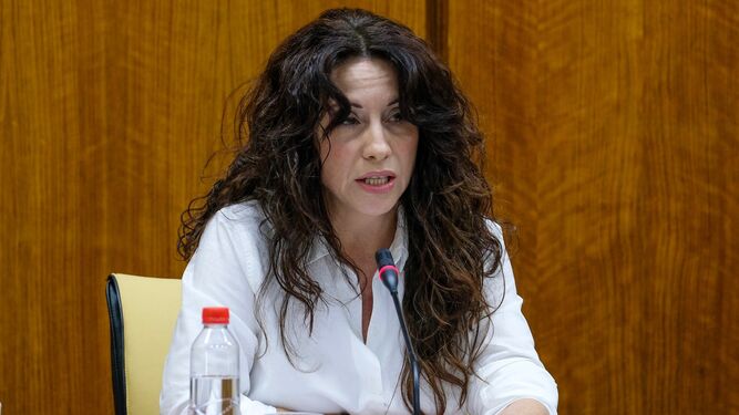 La consejera de Igualdad, Rocío Ruiz, durante su comparecencia en el Parlamento andaluz.