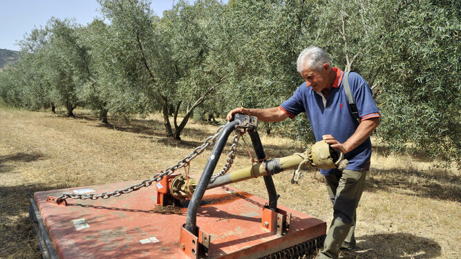 José Rubiales, manejando una máquina en su olivar en Algodonales