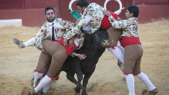 Tarde de toros en San Fernando por la Feria del Carmen del pasado mes de julio.