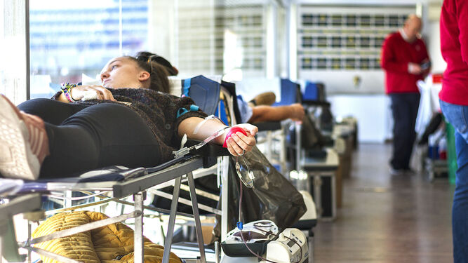Una joven donando sangre en una colecta extraordinaria celebrada en el Estadio Carranza.