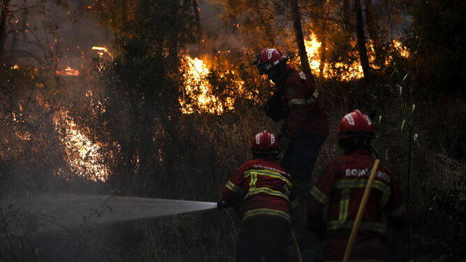 Varios bomberos trabajan en la extinción del fuego que arrasa el centro de Portugal.