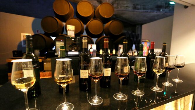 Copas de los distintos tipos de vino de Jerez dispuestas para una cata.