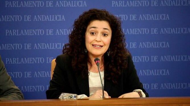 Inmaculada Nieto, en una comparecencia en el Parlamento Andaluz.