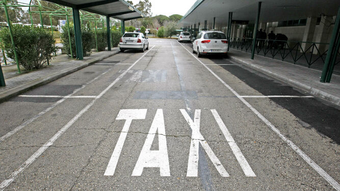 Taxis aparcados en la parada del aeropuerto, donde también prestan servicio los VTC.