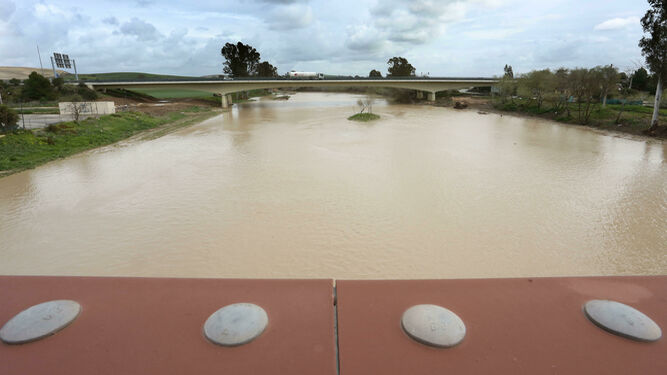 Imagen del río Guadalete bajo el puente de la autopista AP-4.