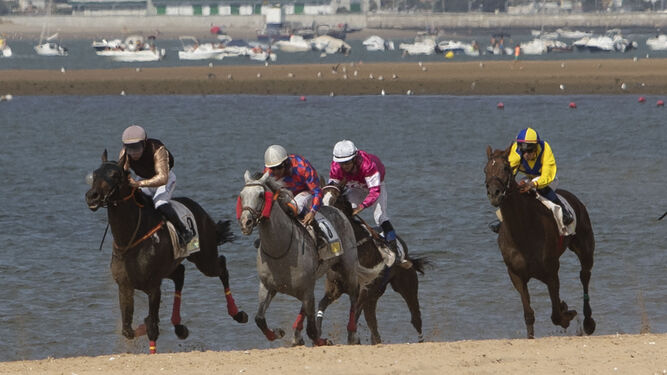 Los caballos, al galope a orillas del Guadalquivir.
