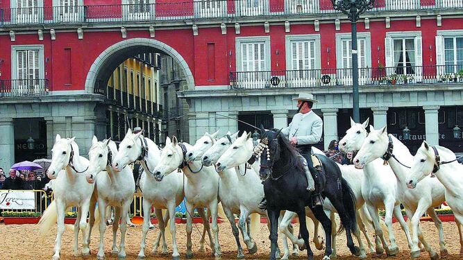 Exhibición ecuestre en la Plaza Mayor de Madrid con ocasión de Fitur 2004.