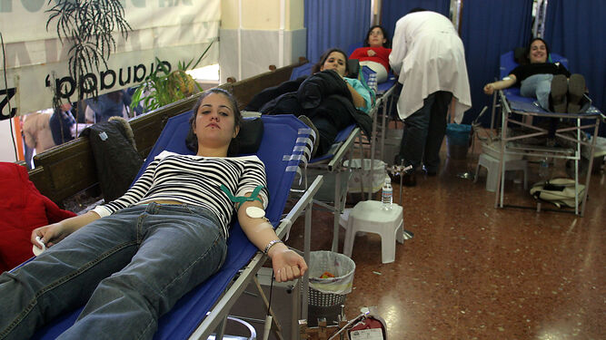 Granada baja un 2,6% en donaciones de sangre este verano