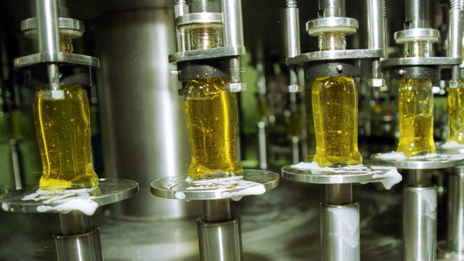 Proceso de envasado de aceite de oliva en una industria