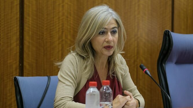 Patricia del Pozo, durante su intervención en la Comisión del pasado miércoles.