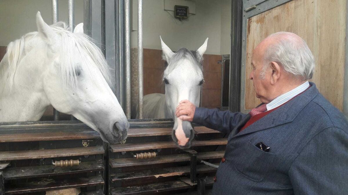 Álvaro Domecq acaricia a unos caballos de la Escuela Española de Equitación en el Hofburg vienés.