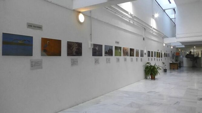 Exposición abierta en el Centro Cultural San josé