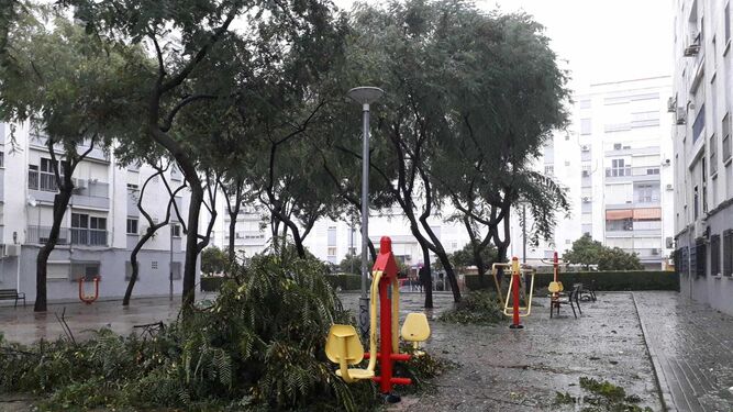 Las ramas de los árboles caídas sobre un parque infantil en Vallesequillo
