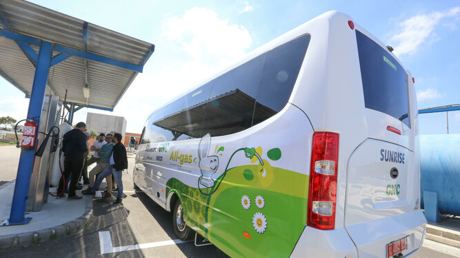 Primer microbús impulsado por biogás que será readaptado para que funcione como transporte urbano.