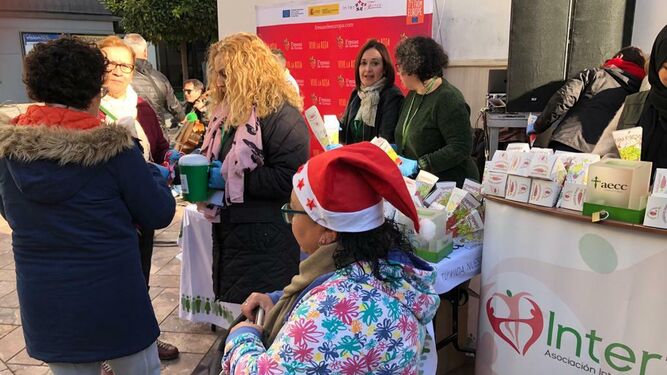 Im&aacute;genes del reparto solidario de fresas en Huelva