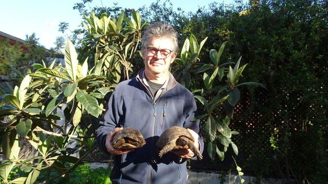 El ecologista Juan Clavero, junto a dos de los ejemplares de tortuga mora.