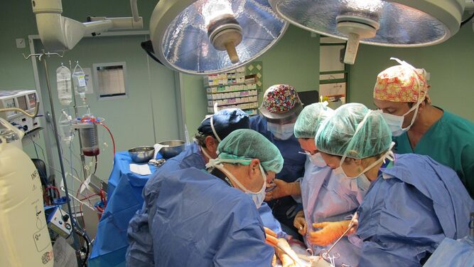 Un equipo médico realiza un trasplante en un hospital canario.