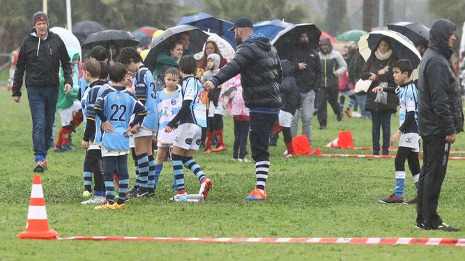Im&aacute;genes del  II Torneo Gradual de Rugby Andaluz