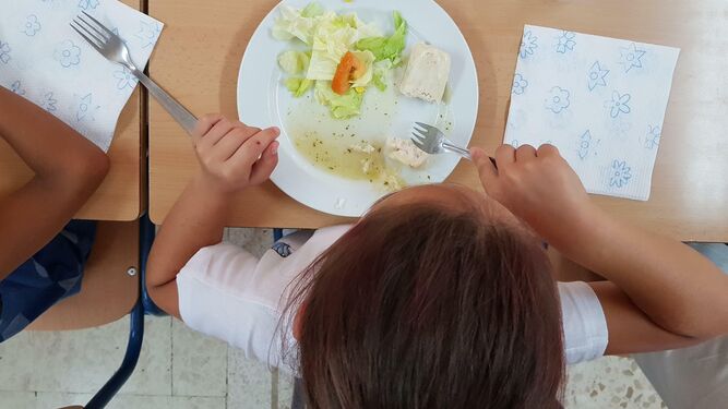Un alumno, ante su plato en un comedor escolar.