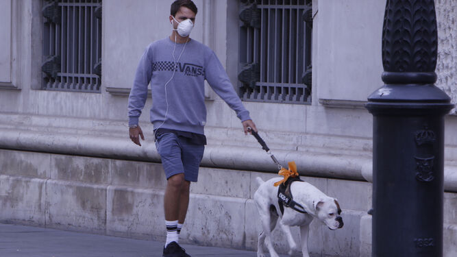 Un joven pasea a su perro durante la confinación por el coronavirus.
