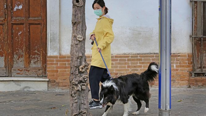 Una ciudadana pasea a su perro por el centro