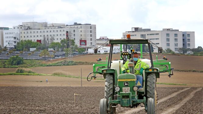 Preparación de las tierras para la siembra en una explotación de Jerez con el hospital al fondo.