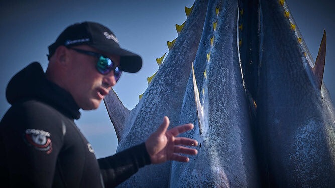 Otro de los buzos de la empresa junto a algunos ejemplares de atunes Bluefin.