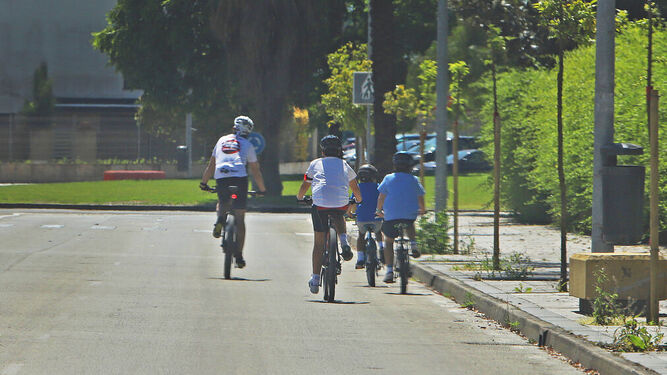 Un adulto y tres menores disfrutando de un paseo en bicicleta en una avenida de Jerez hace unos días