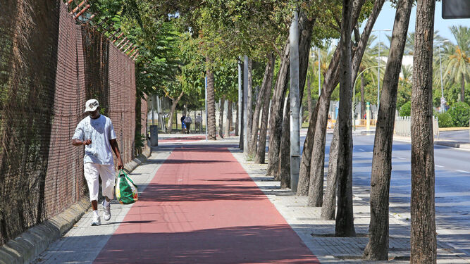 Entre las propuestas figura que lo peatones puedan caminar sobre el carril bici para garantizar la separación.