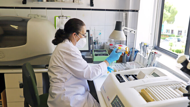 Una profesional de un laboratorio de Jerez con uno de los test que se están realizando a los farmacéuticos.
