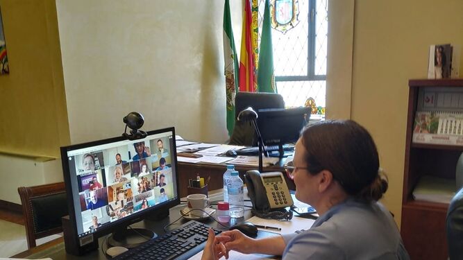 La diputada de Personal, Encarnación Niño, en el encuentro por videoconferencia.