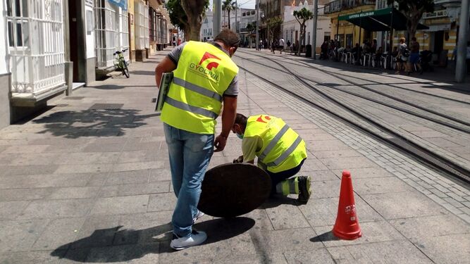 Operarios de la empresa adjudicataria de las obras trabajando en la calle Real de San Fernando.