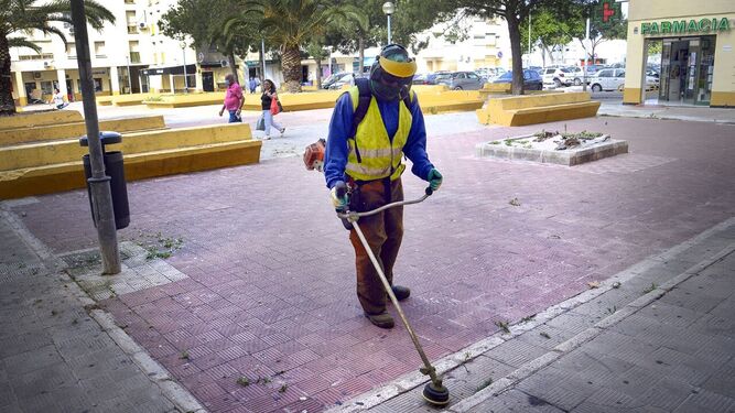 Un trabajador durante las labores de limpieza en Vallesequillo.