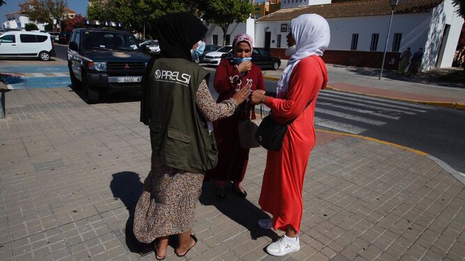 Los consultores del Prelsi velan por el bienestar de las trabajadoras marroquíes en el proceso de retorno